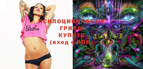 ешки Алексин