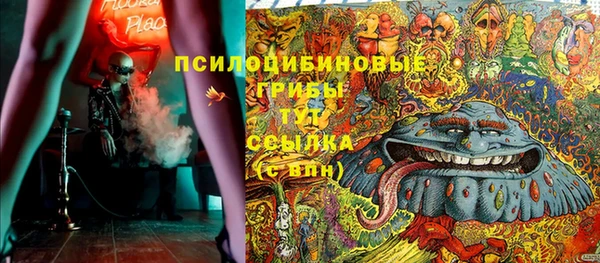 ешки Алексин