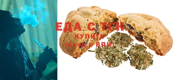 мдпв Новозыбков